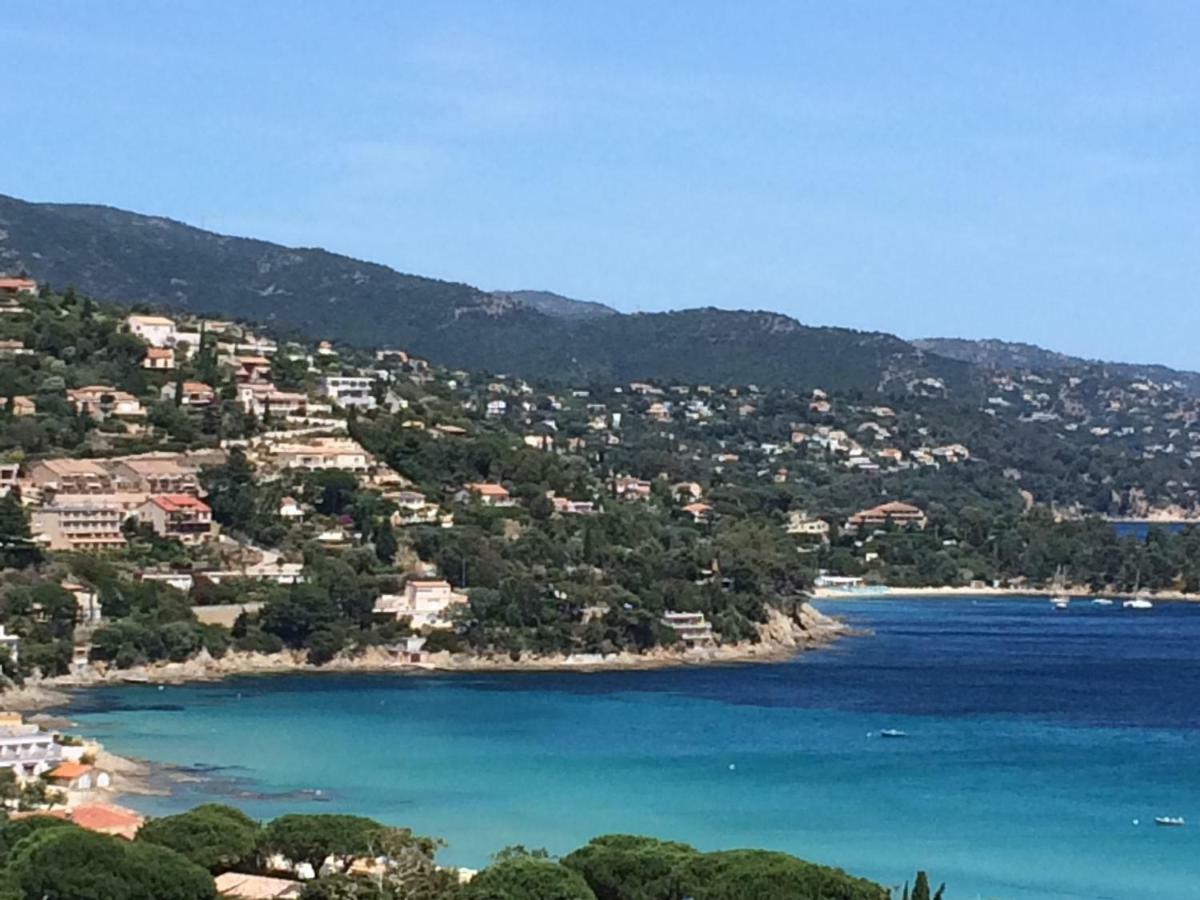 Appartement Altair Le Lavandou Buitenkant foto