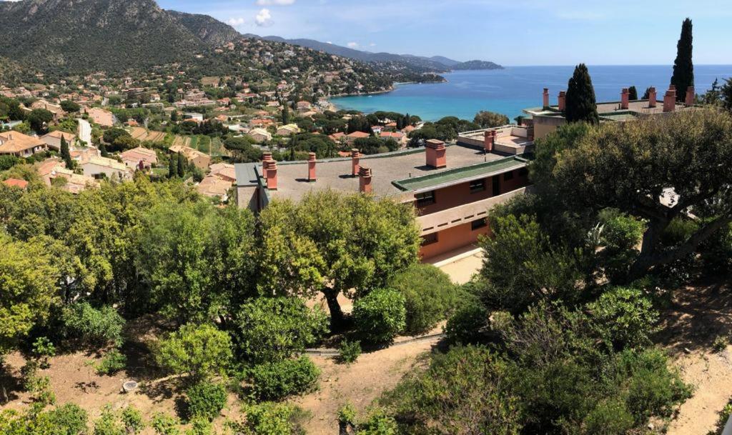 Appartement Altair Le Lavandou Buitenkant foto